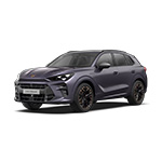 Cupra Terramar private lease