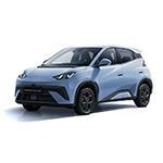 BYD Dolphin Surf private lease
