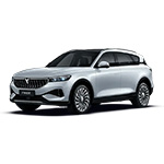 Voyah Free private lease