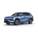 Geely Starray private lease