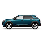 C4 Cactus C4 Cactus