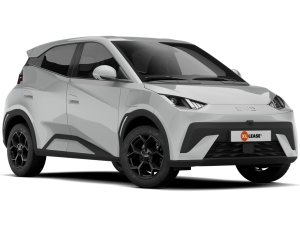 BYD Dolphin Surf 30 kWh Active