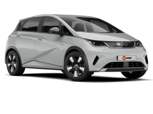 BYD Dolphin 60 kWh Comfort BYD Dolphin 60 kWh Comfort