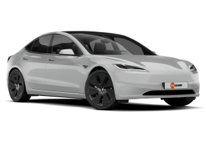 Tesla Model 3 BEV 63 kWh Rear-Wheel Drive