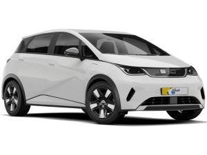 BYD Active Dolphin G DM-i BYD Active Dolphin G DM-i