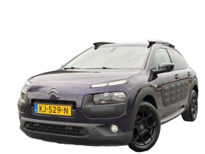 Citroën C4 Cactus 1.2 PureTech Business Plus Citroën C4 Cactus 1.2 PureTech Business Plus