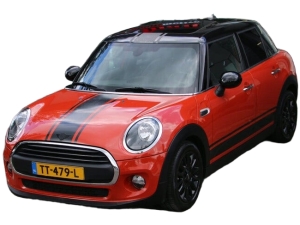 MINI One 1.5 Salt MINI One 1.5 Salt