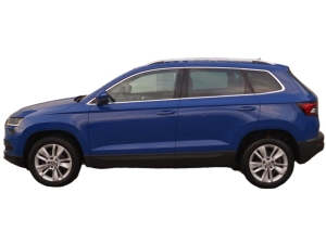 Škoda Karoq 1.0 TSI Business Edition Plus Škoda Karoq 1.0 TSI Business Edition Plus