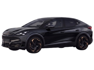 Cupra Tavascan 77 kWh Business 286 pk Cupra Tavascan 77 kWh Business 286 pk