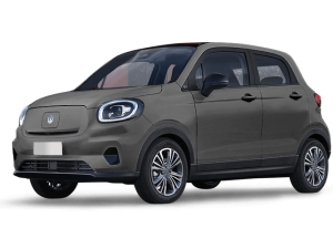 Leapmotor T03 37.3 kWh Design 95 pk