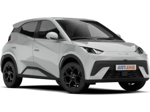 BYD Dolphin Surf Active