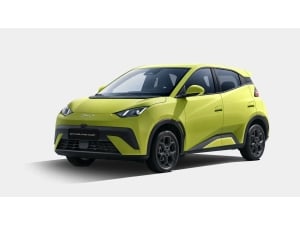 BYD Dolphin Surf