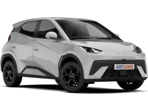 BYD Dolphin Surf Comfort